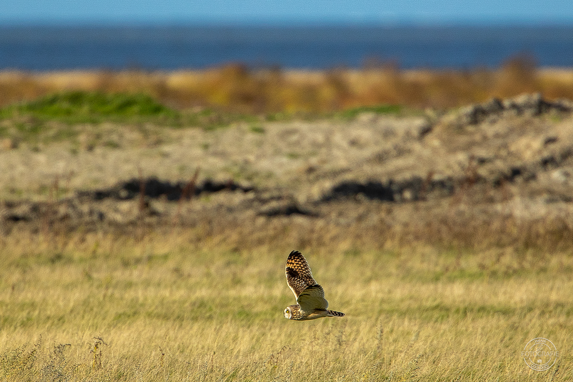 16 oktober 2022 162755 1R2A2718